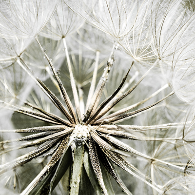 minfulness-profundidad